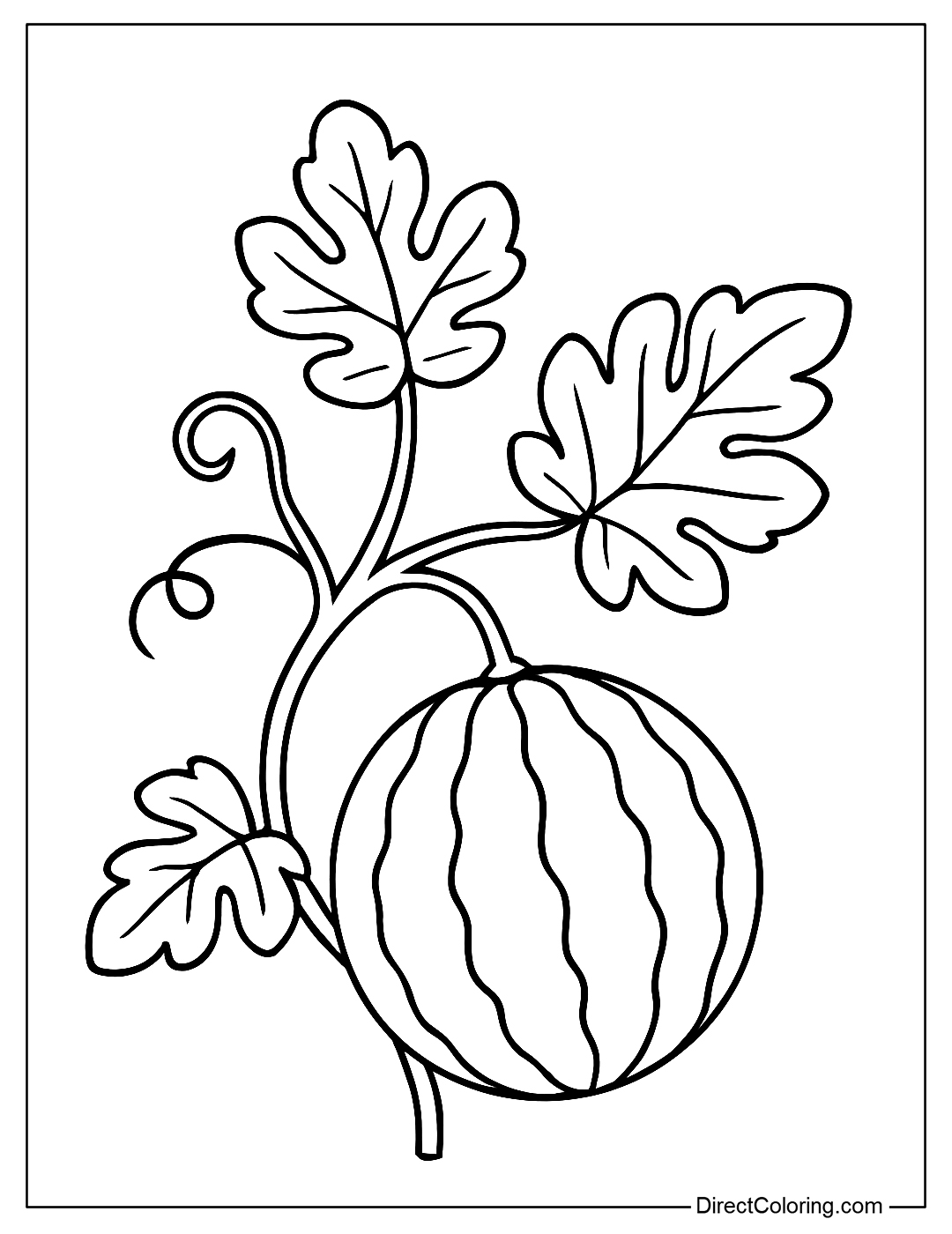 Coloring page of a watermelon vine with leaves, tendrils, and a small growing fruit.